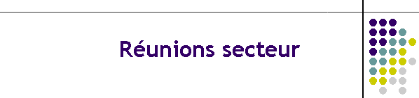 Runions secteur