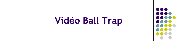 Vido Ball Trap